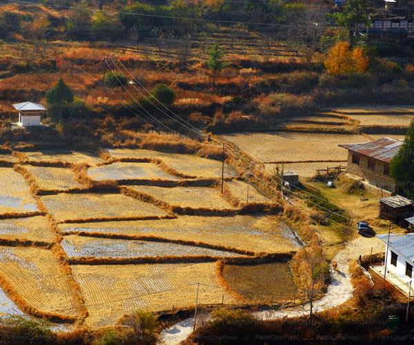 Autumn Village