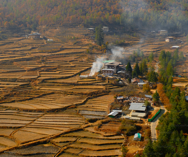 Autumn Village